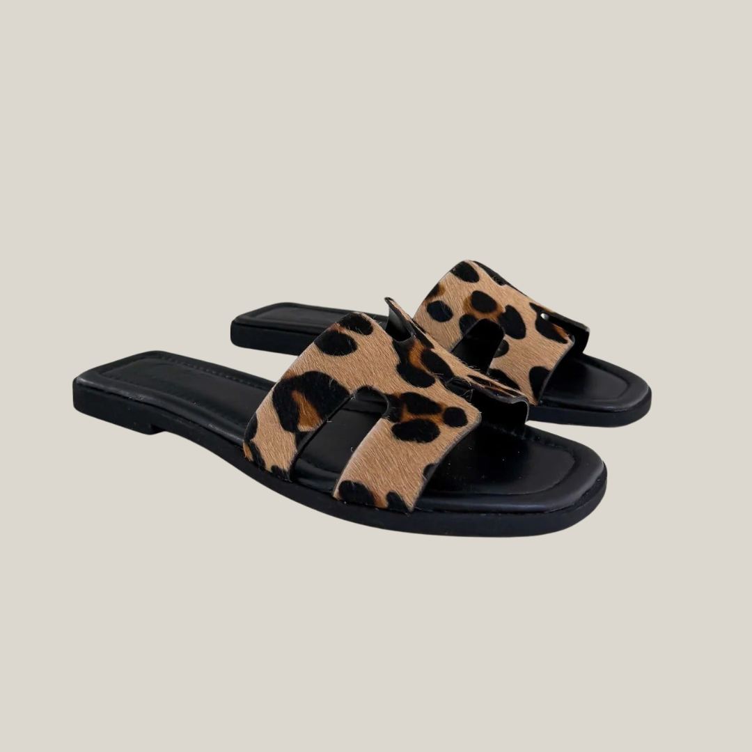 ARIS | LIMITIERTE AUFLAGE